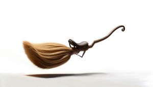 Magic broom.jpg