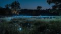 Thumbnail for version as of 14:09, 25 April 2023