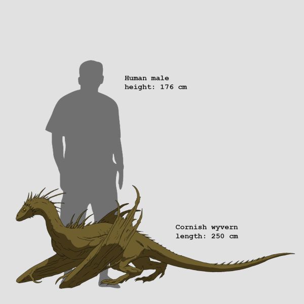 File:Cornish wyvern.jpg